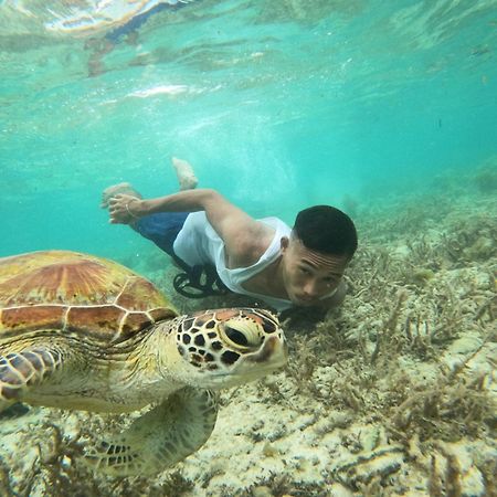 Moalboal Indino'S Guesthouse Sardines Run And Sea Turtle 1 Minute Walking Distance Buitenkant foto
