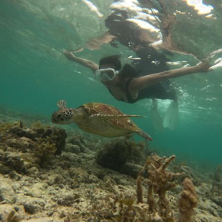 Moalboal Indino'S Guesthouse Sardines Run And Sea Turtle 1 Minute Walking Distance Buitenkant foto