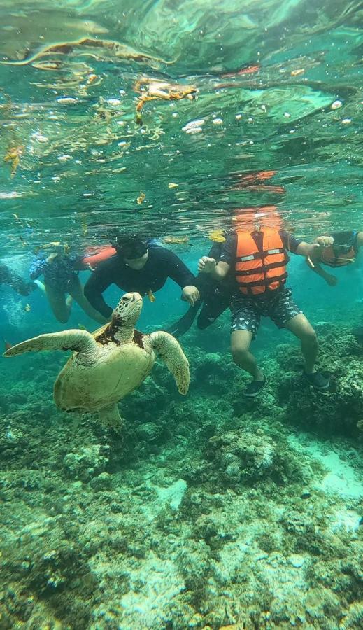 Moalboal Indino'S Guesthouse Sardines Run And Sea Turtle 1 Minute Walking Distance Buitenkant foto