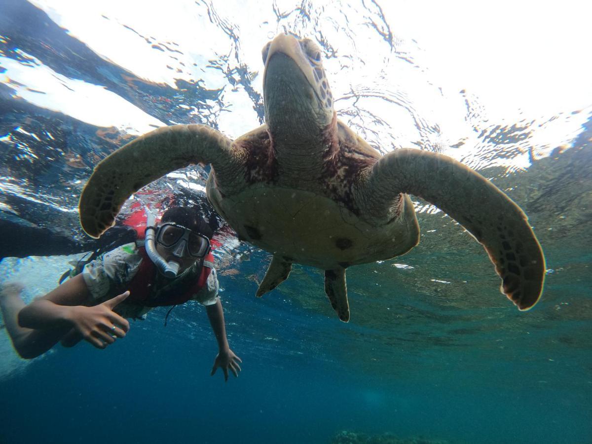 Moalboal Indino'S Guesthouse Sardines Run And Sea Turtle 1 Minute Walking Distance Buitenkant foto