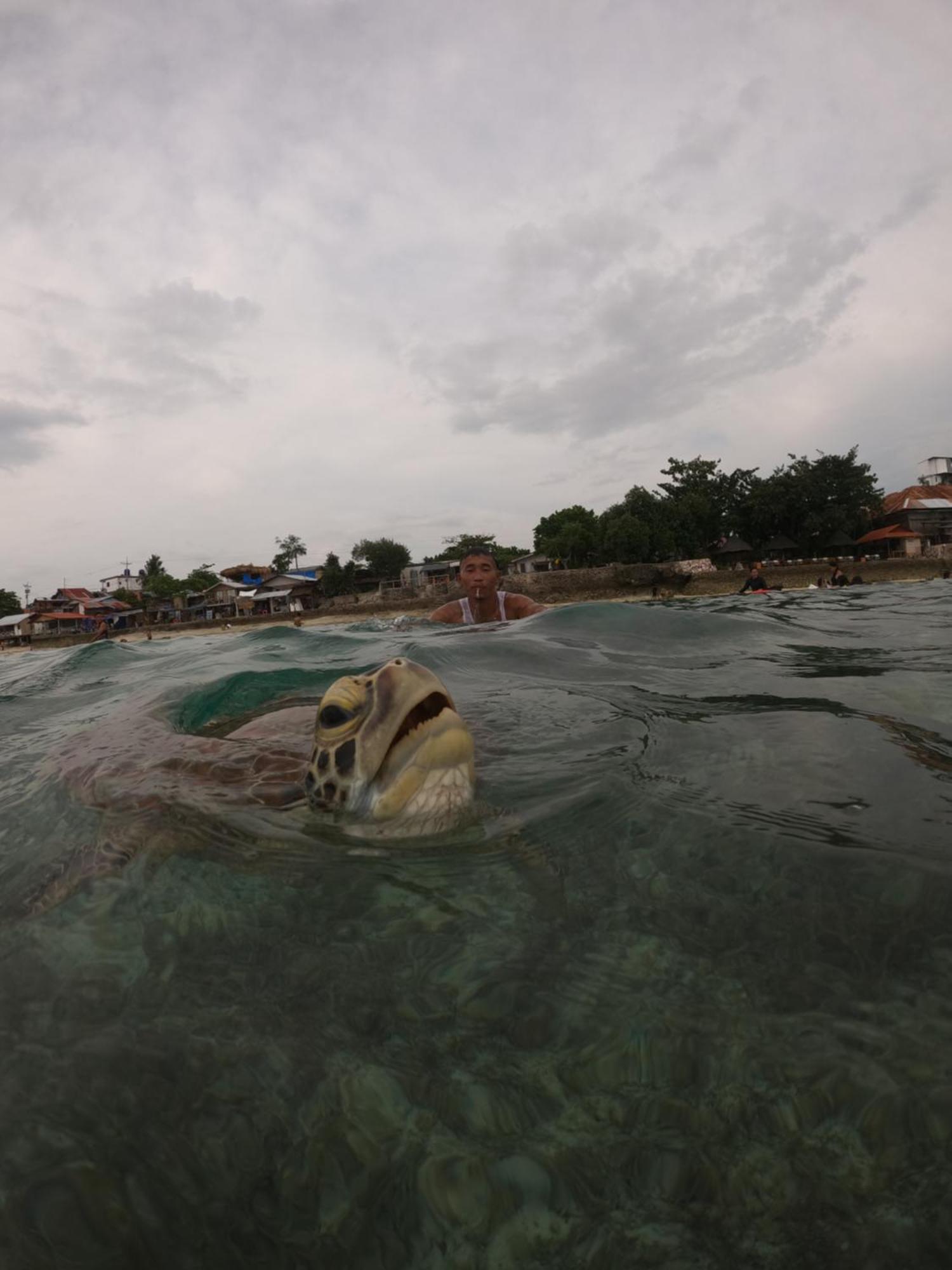 Moalboal Indino'S Guesthouse Sardines Run And Sea Turtle 1 Minute Walking Distance Buitenkant foto