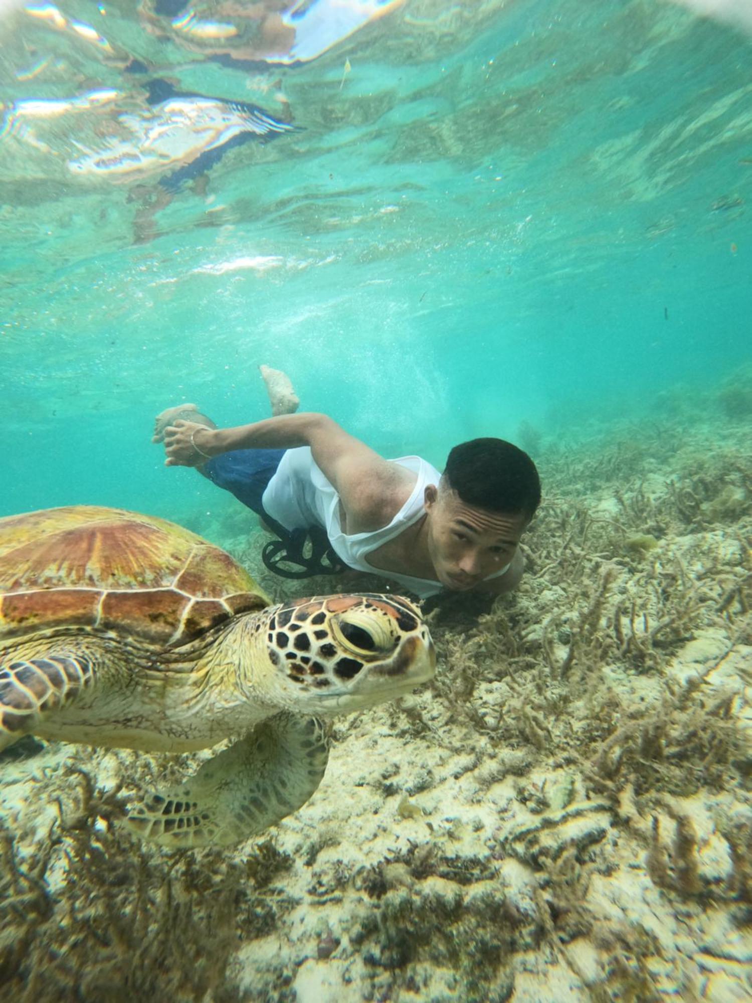 Moalboal Indino'S Guesthouse Sardines Run And Sea Turtle 1 Minute Walking Distance Buitenkant foto