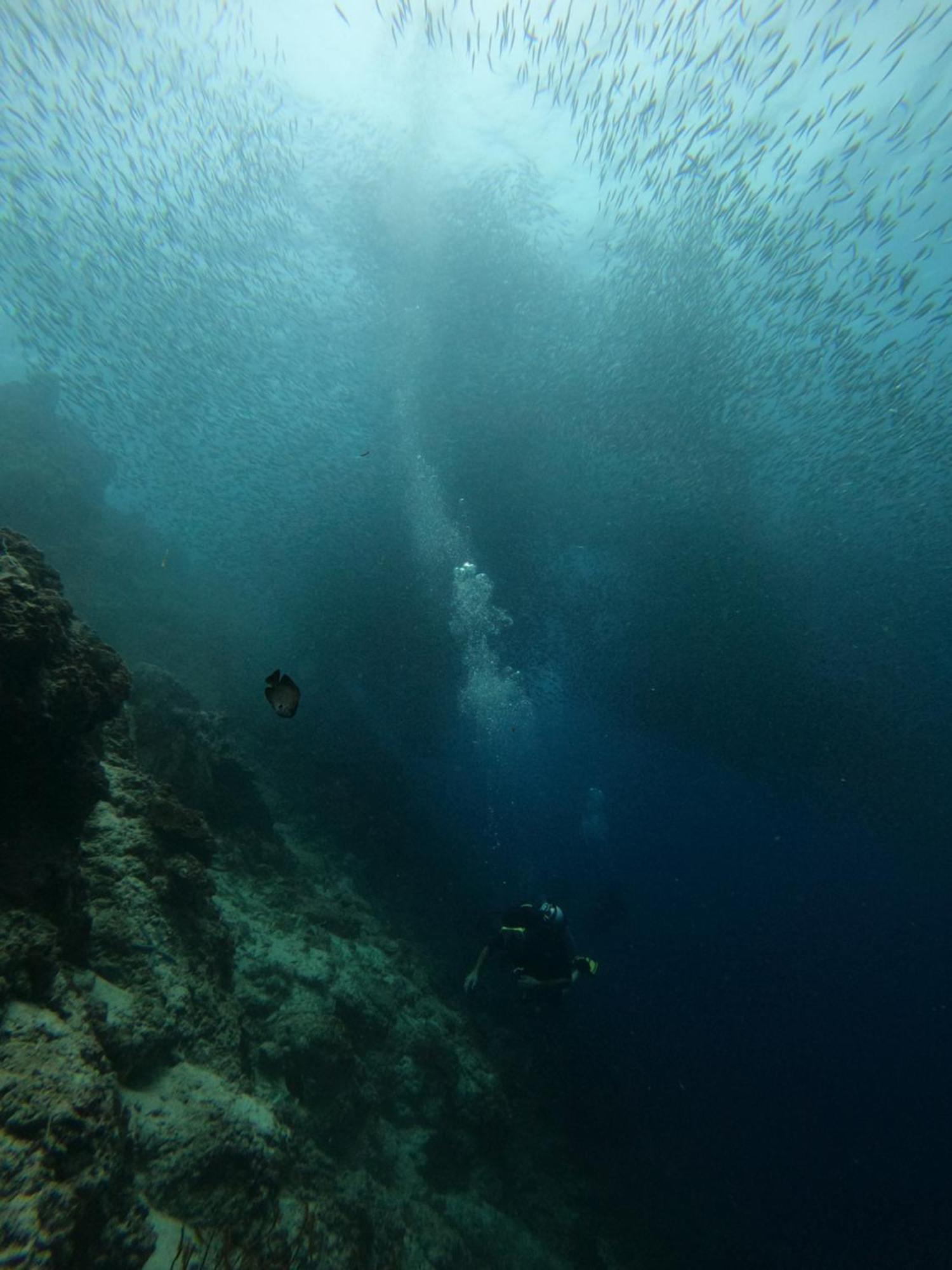 Moalboal Indino'S Guesthouse Sardines Run And Sea Turtle 1 Minute Walking Distance Buitenkant foto