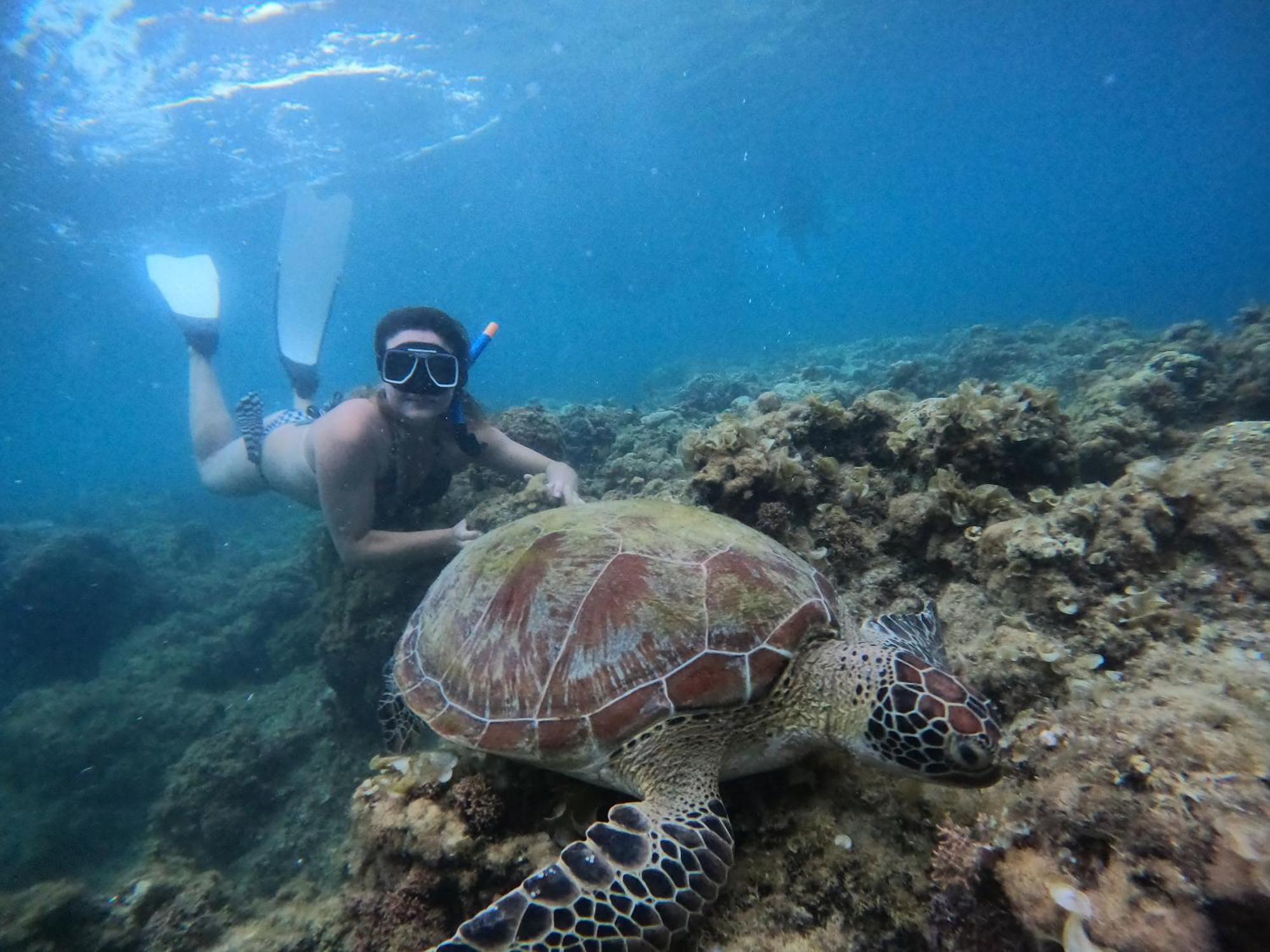 Moalboal Indino'S Guesthouse Sardines Run And Sea Turtle 1 Minute Walking Distance Buitenkant foto
